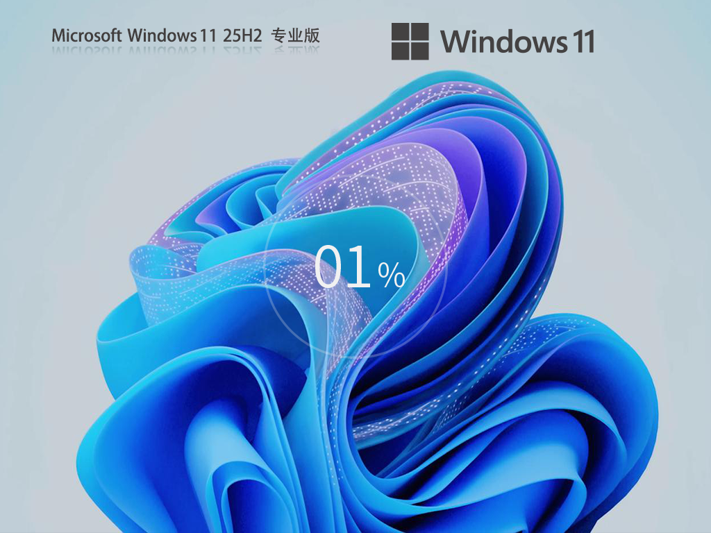 Windows11 25H2下载-Win11 25H2 26200.8313 官方专业版下载